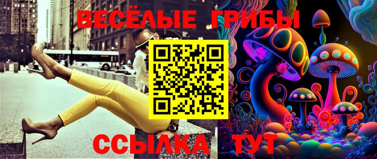 Псилоцибиновые грибы Psilocybe Сорочинск